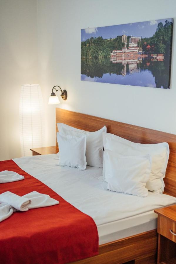 Pensiunea Comfort Sovata Exteriér fotografie
